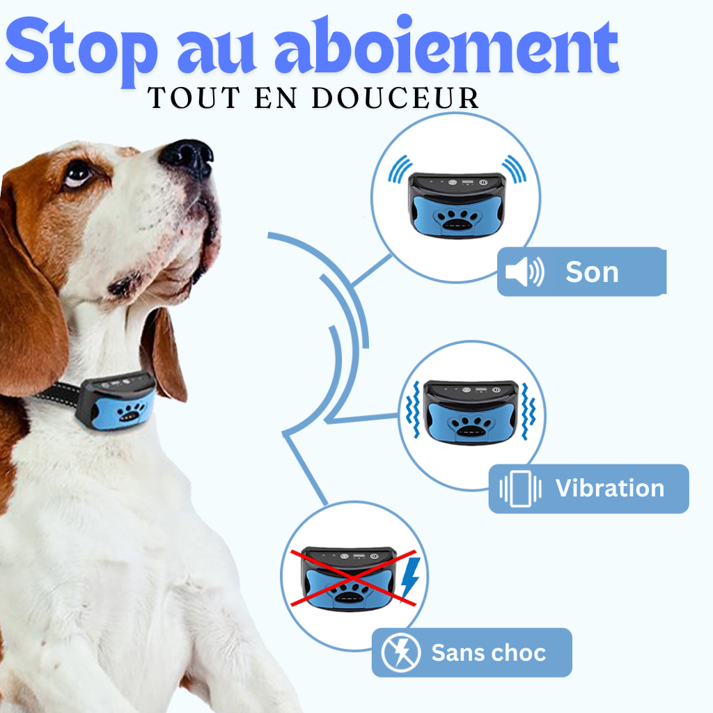 Collier anti aboiement