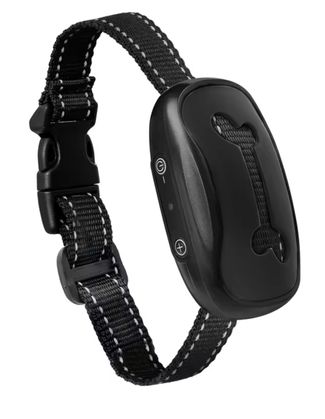 Collier anti aboiement