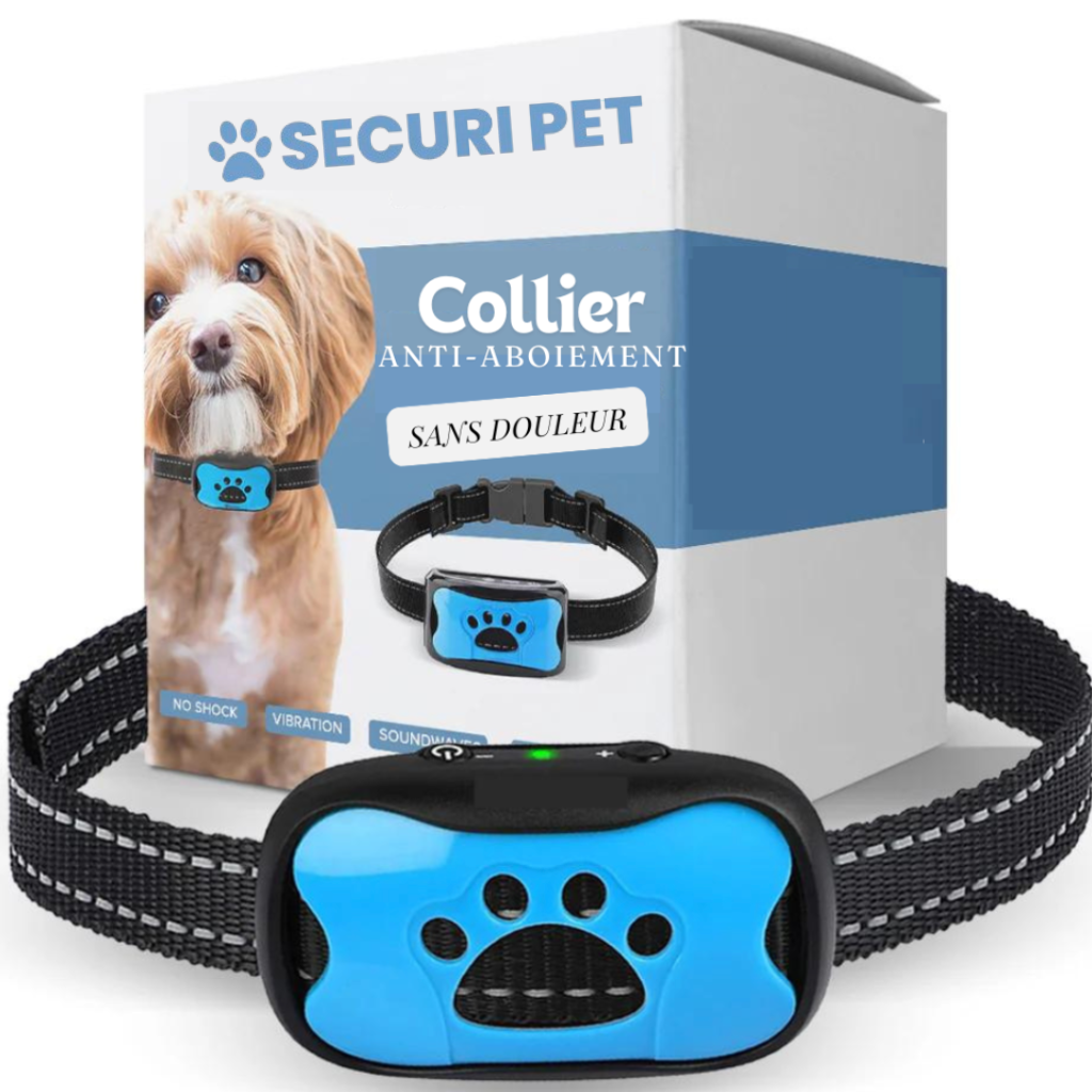 Collier anti aboiement