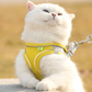 Harnais Chat Anti Fugue