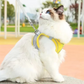 Harnais Chat Anti Fugue
