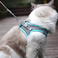 Harnais Chat Anti Fugue