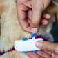 Collier Tracker GPS Chien