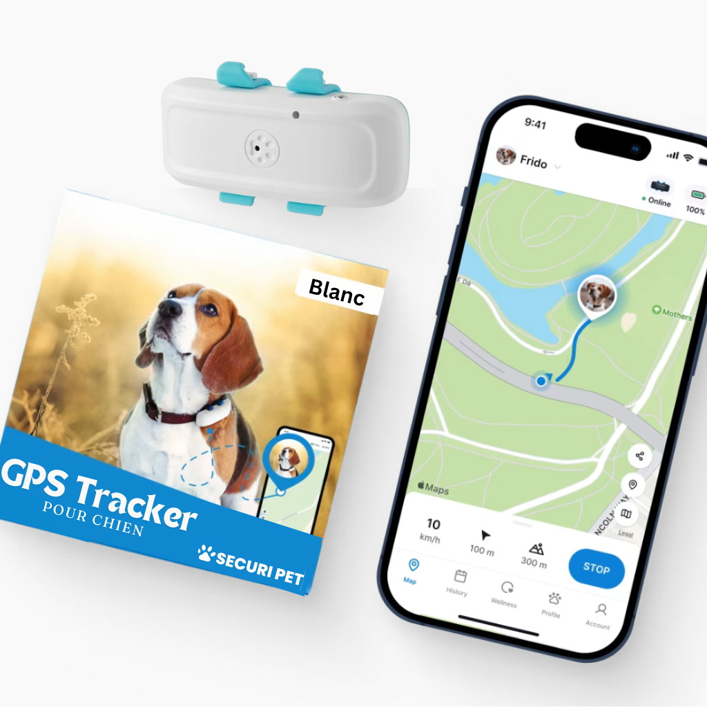 Collier Tracker GPS Chien